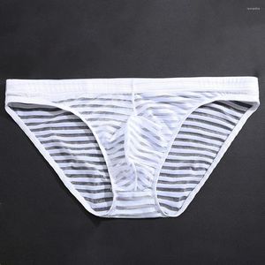 Unterhosen Sexy Herren Durchsichtige Boxershorts Gestreifte Netztasche Unterwäsche Höschen Dessous Männer Atmungsaktiv Ultradünn