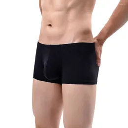 Boxer sexy pour hommes, slip transparent transparent, sous-vêtements en maille respirante, caleçon U convexe avec pochette