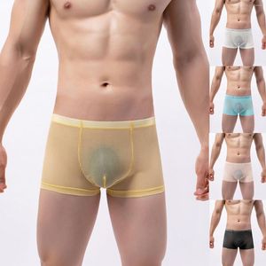 Onderbroek Sexy Heren Transparant Boxer Man Zien Door Ondergoed Mesh Sheer Penis Pouch Boxers Slips Mannelijke Ademend Lage Taille