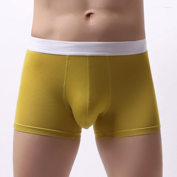 Sous-vêtements sexy pour hommes sous-vêtements boxeurs U convexe renflement doux confortable short modal respirant pantalon solide