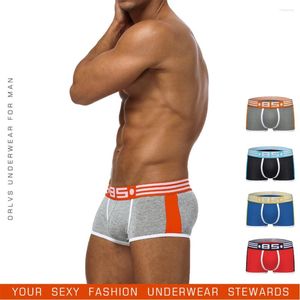 Sous les calendriers Sexy Mens Underwear Cotton Sport Boxers Party Jockstraps Brief