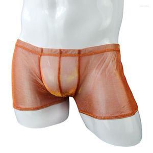 Onderbroek sexy heren ondergoed ondergoed lage taille ultradunne transparant gaas ademende boxershorts lingerie erotisch slipje mannelijke boksers