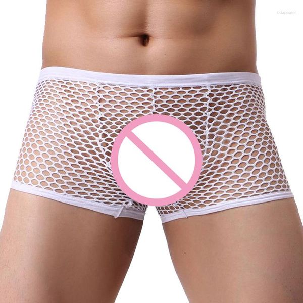 Sous-vêtements Sexy Mesh Creux Boxers Hommes Boxershorts Voir À Travers La Tentation Sous-Vêtements Gay Taille Basse Pénis Poche Mâle Culotte Lingerie Érotique