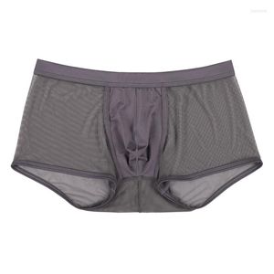 Caleçon Sexy Mesh Culotte Homme Creux Voir à Travers Boxers Sous-Vêtements Transparents Respirant Taille Basse Homme