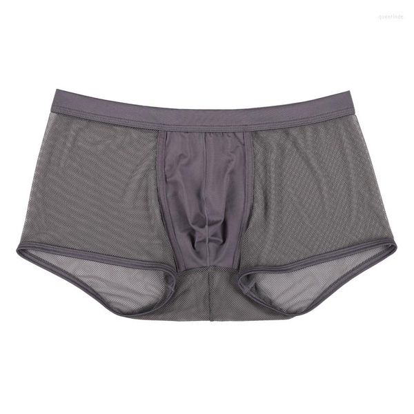 Calzoncillos Sexy de malla para hombre, calzoncillos transparentes con agujeros, ropa interior transparente, transpirable, de cintura baja para hombre