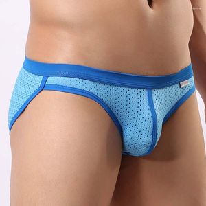 Onderbroek Sexy Mesh Heren Slips Ondergoed Zien Door U Bolle Penis Pouch Ontwerp Mannelijke Slipje Jockstrap Lage Taille Bikini mannen