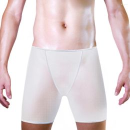 Mutande Sexy Mesh Trasparente Mutandine da uomo Boxer Solido Nero Bianco Intimo Boxer e slip lingerie