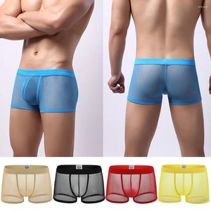 Sous-vêtements Sexy Voir à travers les hommes Boxer Shorts Sous-vêtements masculins Mesh Transparent Culotte Bugle Pouch Érotique Solide Mince Homme