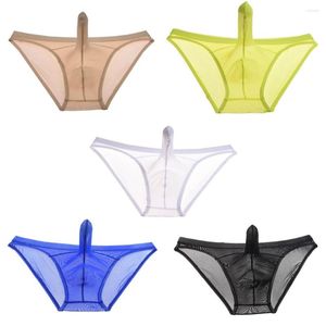Onderbroek sexy transparant charmante doorzichtige penis pouch heren briefs bikini ondergoed mesh homo mannen undershorts