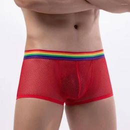 Sous-vêtements sexy sous-vêtements boxer shorts hommes maille arc-en-ciel ceinture respirante perspective jambe plate pantalon quadrangle