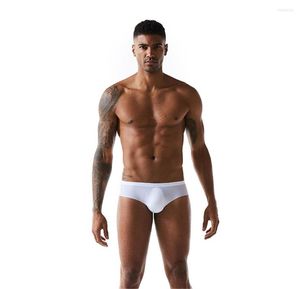 Slip Sexy sous-vêtements hommes U poche convexe une pièce sans couture slips Ropa intérieur Hombre Cueca Masculina Bikini Slip Homme