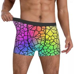 Sous-vêtements d'eau peu profonde Sous-vêtements Rainbow Glow Imprimer Hommes Impression Classique Boxer Shorts Brief Plus Taille 2XL