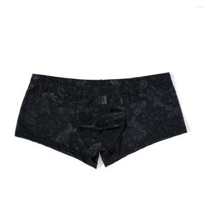 Caleçons Shorts Culottes Taille Élastique Hommes Sous-Vêtements Perspective Dentelle