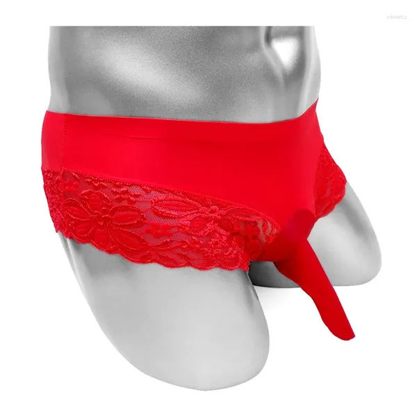 Calzoncillos Sissy Briefs Ropa interior con funda de pene Encaje floral Lencería sexy para bragas para hombre Ver a través de Bikini erótico