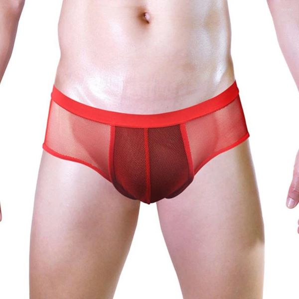 Sous-pants Sissy Mens Mesh See-Through Low Rise Lingerie Boxer Brief