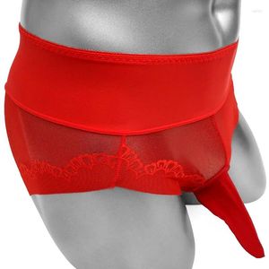 Onderbroek sissy slipje sexy lingerie pure dunne mannen slips ondergoed met penismouw zie door gay mannelijke bikini