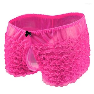 Calzoncillos de encaje sexy para hombre, ropa interior transparente, bragas transparentes con funda para pene, lencería erótica de malla transparente, Boxershorts transparentes