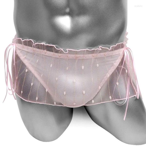 Sous-vêtements jupe Sissy culotte transparente maille slips pour hommes sous-vêtements Sexy Lingerie crosscommodes Bikini mâle