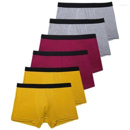Onderbroek zachte en ademende bokser shorts trendy sport casual 2022 nieuwste lange ondergoed polyester zomercartoon