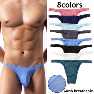 Slip solide Sexy maille respirant slips string culotte culotte sous-vêtements taille basse confortable hommes en gros