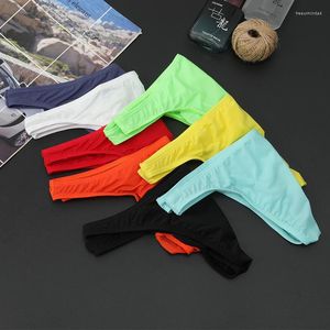 Onderbroek Stijl Ice Silk Men Underwear Briefs Ademend ultradunne transparante pure kleur elastische lage taille groothandel