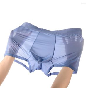 Caleçon Été 50g Ice Silk Hommes Séchage Rapide Boxer Respirant Ultra Mince Translucide En Gros Jeunesse Nylon Sous-Vêtements