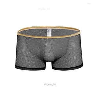 Onderbroek Super Sexy Heren Sheer Ondergoed Boxers Homoseksuele Mannen Transparante Shorts Heren Kanten Slipje Mannelijke Lingerie Spandex