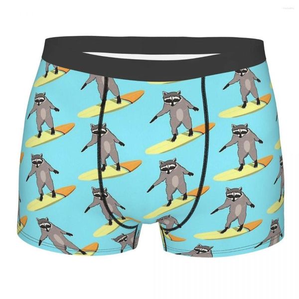 Caleçons surf ratons laveurs raton laveur Procyon Lotor culotte en coton Animal sous-vêtements masculins imprimés Shorts Boxer slips