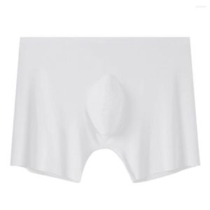 Onderbroek Telotuny 2023 Brand Men's Transparant Underwear Boxers Silver Lon Antibacterial Ice Silk Ademend