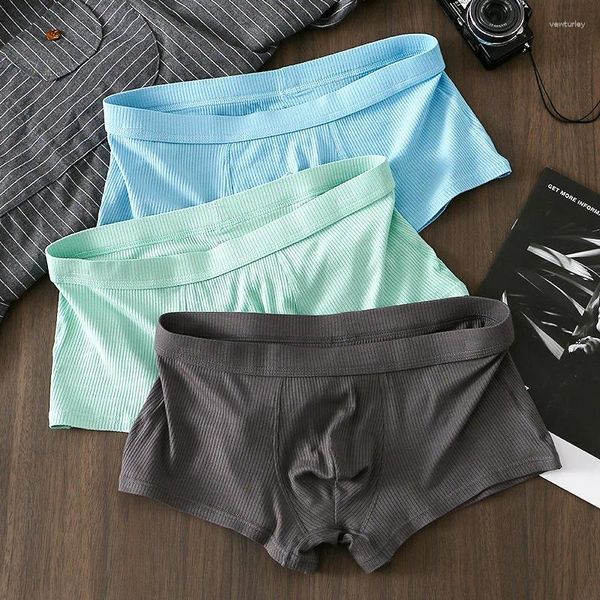 Calzoncillos Boxer de hilo para hombre, ropa interior sólida de cintura media, bañadores transpirables con bolsa abultada, bragas, pantalones cortos de costilla