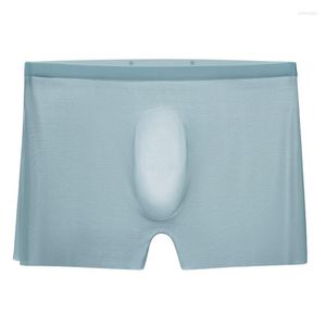 Caleçon Transparent Boxer hommes sous-vêtements en soie de glace respirant énergie aimant été confortable Boxershort solide sans couture Shorts