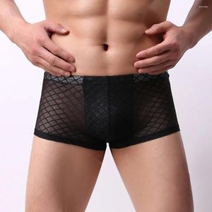 Sous-pants Transparent Lace Male Panties Coton Boxer Coton Confortable Boxer de la marque de troncs de sous-vêtements pour hommes Boîte de tronc masculin