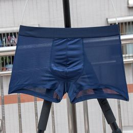 Caleçon Transparent hommes boxeurs renflement glace soie voir à travers Sexy hommes sous-vêtements taille basse culotte Lingerie intimes