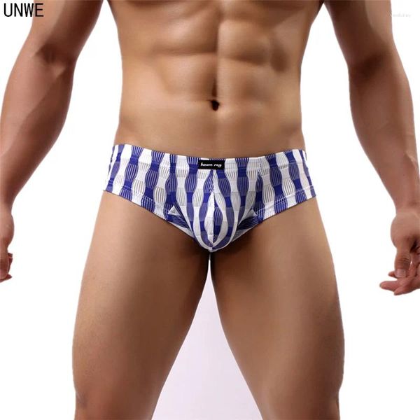 Sous-pants Transparent Men Sexy Boxer Mesh Mesh Low-Waist Trunk Festive Lantern Figure Gay Men's Pouchs Underwear