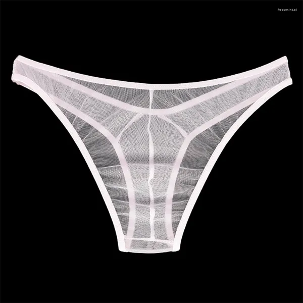 Sous-pants Briefs en mailles transparentes hommes sous-vêtements sexy ultra-minces voir à travers la culotte mâle pur érotique Lingerie Soft