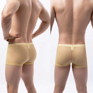 Sous-vêtements Transparent Pinstripe Hommes Sexy Boxer Shorts Respirant Séduisant Amusant Intime Ultra Mince Solide Voir À Travers Les Sous-Vêtements