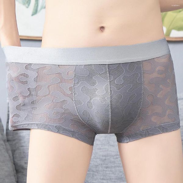 Calzoncillos transparentes de malla transparente para hombre, lencería Sexy de secado rápido, bragas de seda de hielo frescas para hombre, bragas suaves de talla grande L-3XL