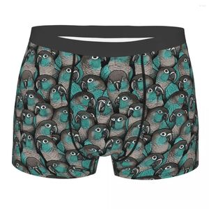 Caleçon Turquoise vert joues Conures perroquet oiseau Homme culotte Homme sous-vêtements aérer Shorts Boxer slips