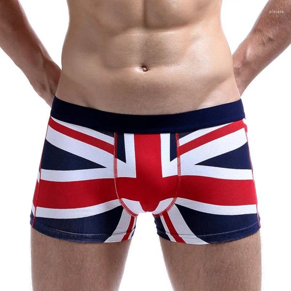 Pantalias del Reino Unido Flagador Boxer Boxer Algodón Boxeadores Underwers Boxeadores de baja cintura macho Gay macho Cuecas Shorts lencería con marca de desgaste