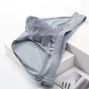 Ropa interior Calzoncillos Calzoncillos Bulge Bolsa para pene grande Sexi para niños Elefante Nariz Sexy Sin costuras Seda de hielo Hombres Bragas masculinas Low Rise