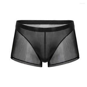 Caleçons sous-vêtements hommes boxeurs Super doux et confortable glace soie pure maille transparente hommes Boxer Shorts Sexy exotique