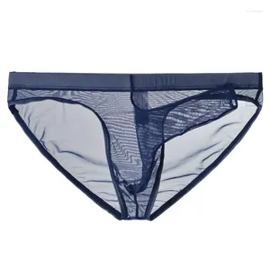 Sous-vêtements sous-vêtements hommes maille transparente éléphant nez slips ultra mince séparation bikini slip homme respirant culotte à séchage rapide