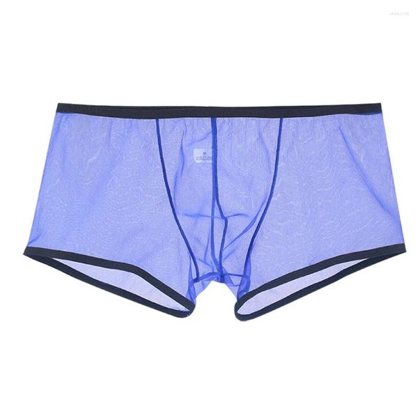 Calzoncillos ropa interior para hombre, Boxer transparente para pene, calzoncillos convexos, pantalones cortos transparentes, bragas de malla de tiro bajo, lencería Sissy 2023