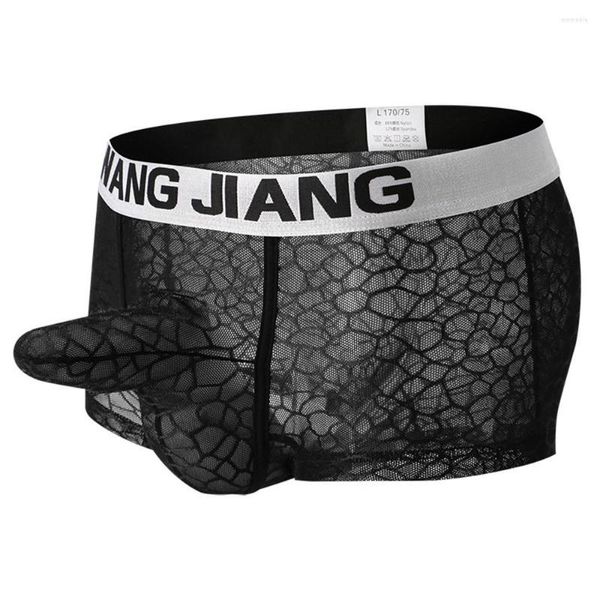 Calzoncillos ropa interior transparente para hombre, Boxers con funda para pene, pantalones cortos de elefante, malla transpirable, lencería Sexy, bragas eróticas