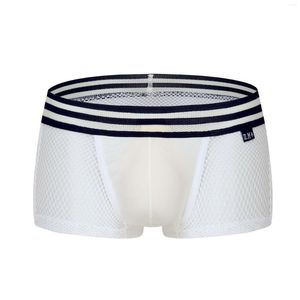 Slip sous-vêtements Sexy Boyshort maille Perspective sport respirant jeunesse été doux taille basse culotte