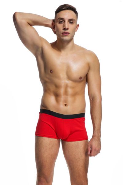 Calzoncillos Precios muy bajos BOYTHOR Ropa interior para hombres Solo Monocromo Tamaño completo Sexy Bikini de cintura pequeña