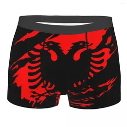 Calzoncillos Vintage bandera de Albania ropa interior masculina Sexy impreso personalizado orgullo albanés Boxer Shorts bragas calzoncillos suaves