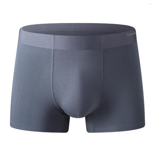 Caleçon chaud gardant la texture en automne et en hiver sous-vêtements pour hommes en gros usine antimicrobien sans couture Boxer