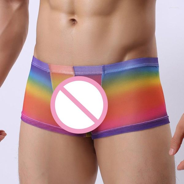 Caleçon en gros 3 pièces/lot hommes sous-vêtements transparents mâle Sexy mode arc-en-ciel couleur imprimé respirant doux maille Boxer Shorts