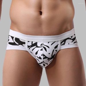 Sous-vêtements en gros slips sexy sous-vêtements gai modal bref short homme culotte respirante taille basse U poche convexe Cueca M-XL